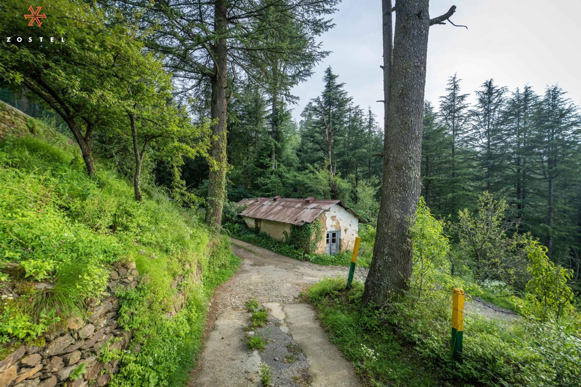 Zostel Kotgarh, Narkanda Exterior foto